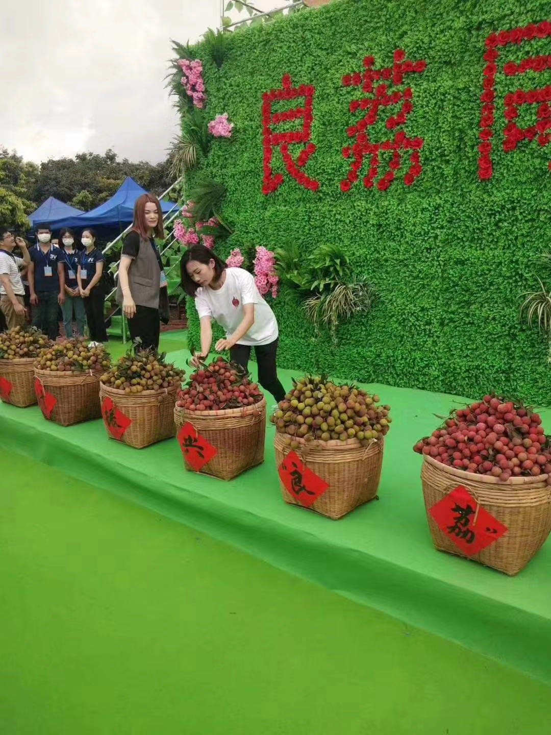 奥运跳水冠军劳丽诗为家乡荔枝代言